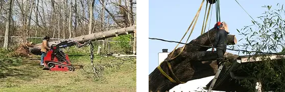 ABOUT TREE FELLERS TREE SERVICE