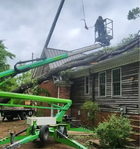 Commercial Tree Service