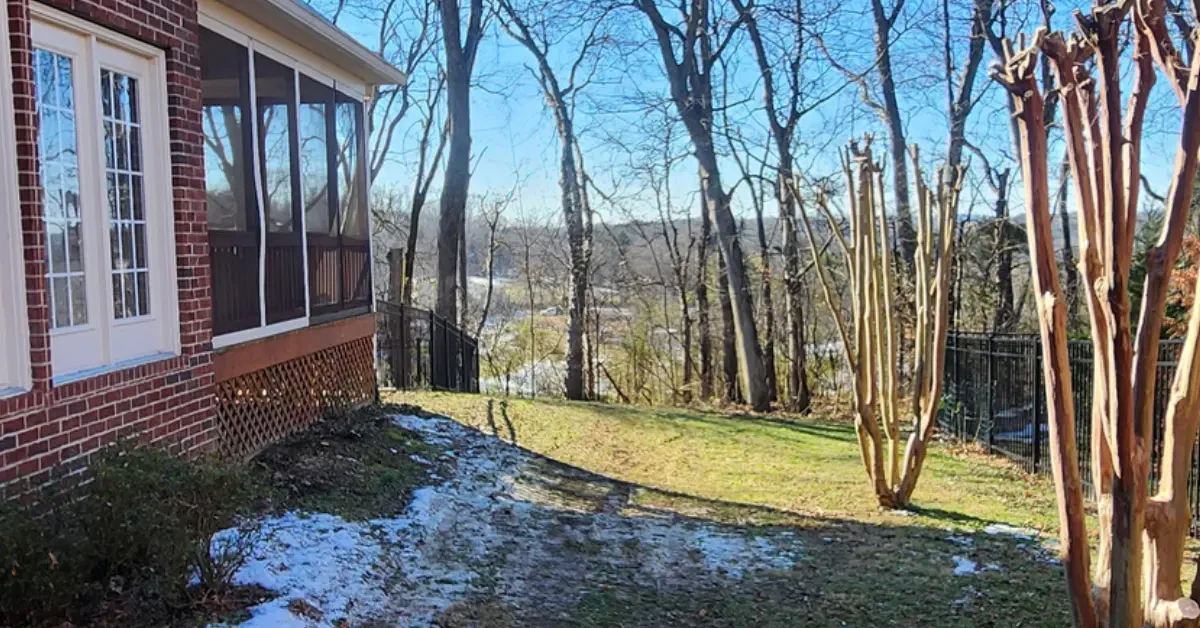 Shrub Removal and Trimming